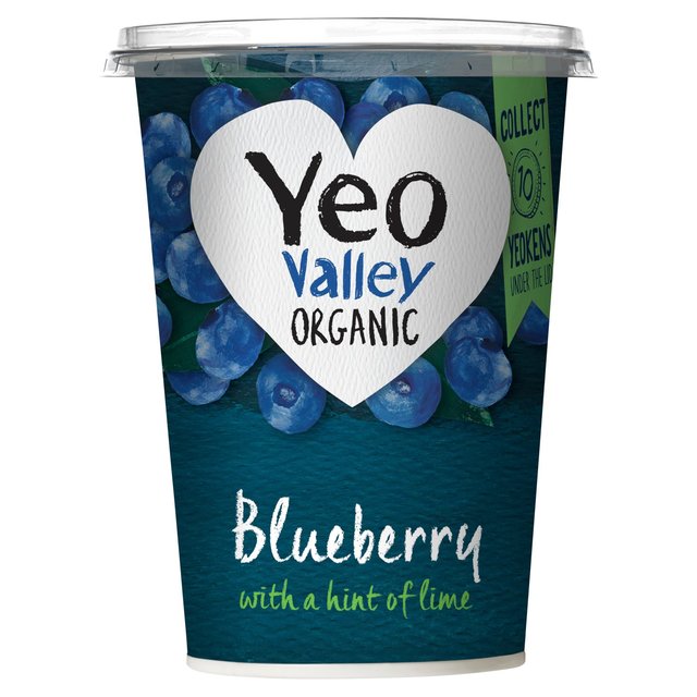 Yeo Valley Organic Blueberry Yoghurt with a Hint of Lime